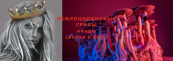 ALPHA PVP Белокуриха