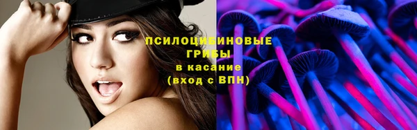 дживик Беломорск